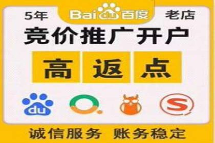 sem推广竞价策略的五大要点及成功案例解读